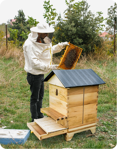 Նոր դիզայնով BeeSync փեթակ դաշտային միջավայրում